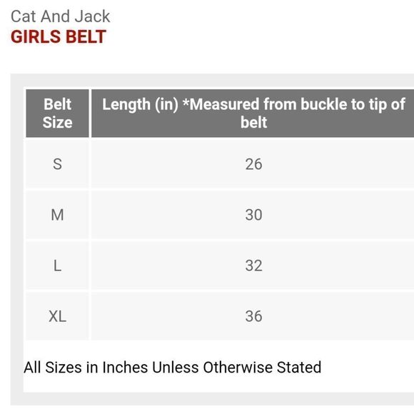 Girls 3 Belt Set Pink Leopard, Black multicolor stitch, & Metallic Silver NWT XL - Picture 9 of 9